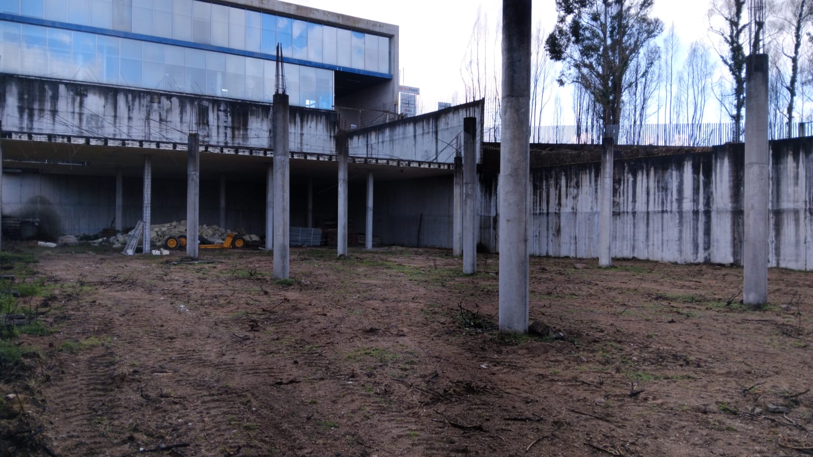 Pavilhão Bora_Figueiró_Tree Civil